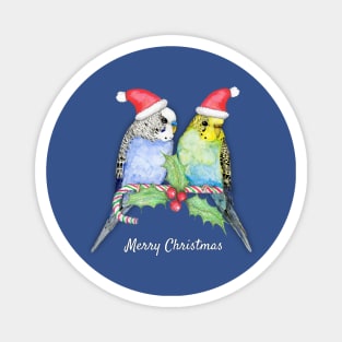 Two cute budgies Christmas style Magnet